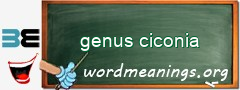 WordMeaning blackboard for genus ciconia